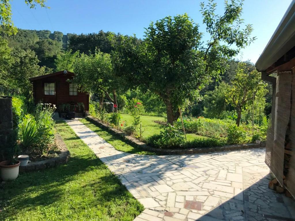 Guest House Most Бузет Экстерьер фото